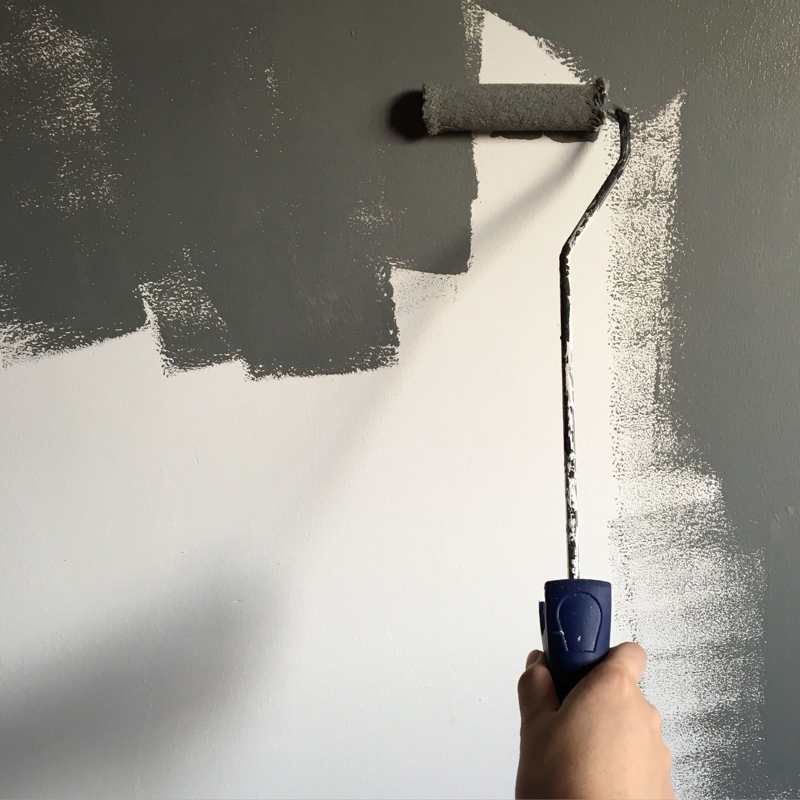 Residential Painters Santa Rosa