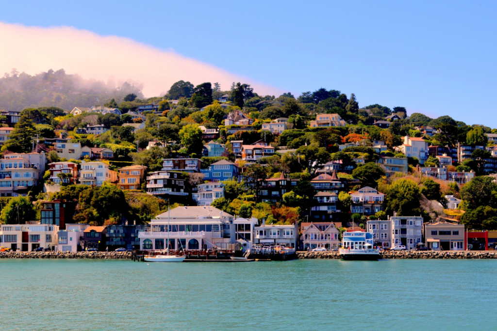 Painting Services in Marin County
